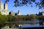 The Lake in Central Park